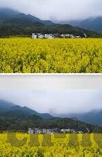 九游小冰冰传奇下载-九游小冰冰传奇，畅游奇幻世界的冒险之旅